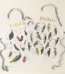 Fowl Language Apron – Peckers & Cocks