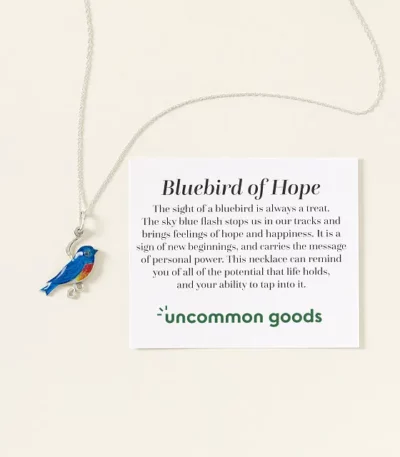 Bluebird Of Hope Necklace