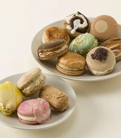 Giant Artisan Macaron Sampler Set