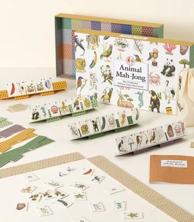 Learn To Play Mah-jong For Kids
