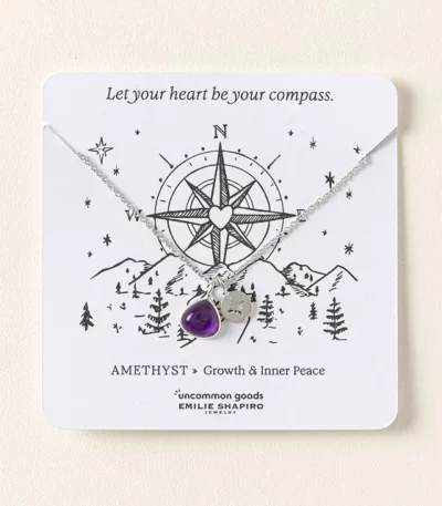 Let Your Heart Be Your Compass Necklace