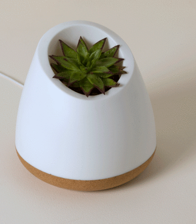Magic Touch Plant Powered Lamp