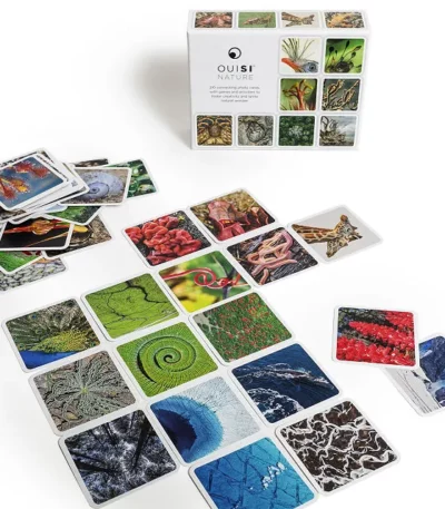 Natural Connections & Discovery Game