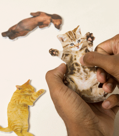 Scratch The Belly Nail Files – Set Of 3