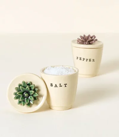 Succulent Salt & Pepper Pots