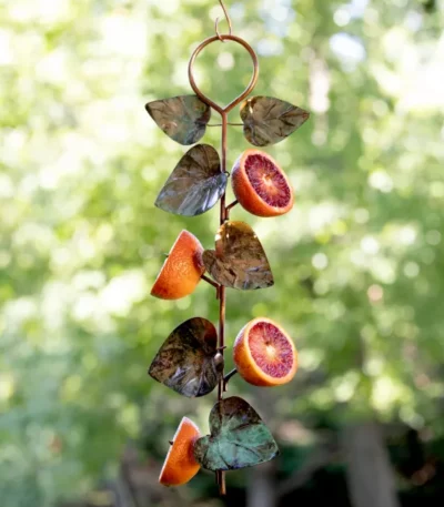 Birdie Fruit Feeder