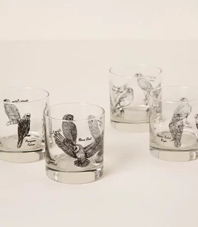 Birds Of Prey Rocks Glass Set