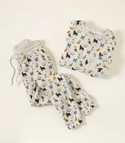 Cat Lover’s Cozy Sweatshirt & Jogger