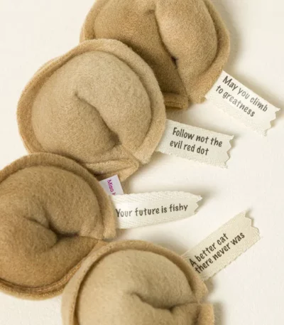 Catnip Fortune Cookie Toy