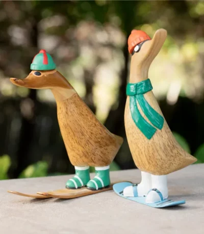 Downhill Ducky