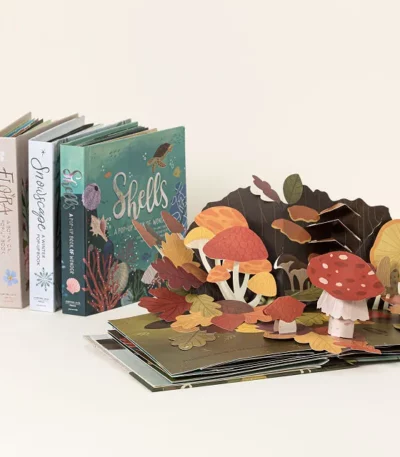 Explore The Four Seasons Pop-up Books