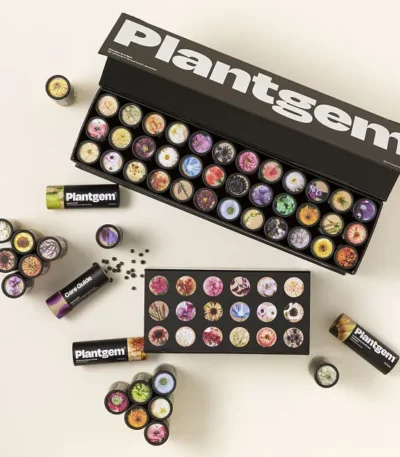 Flower Garden In A Box