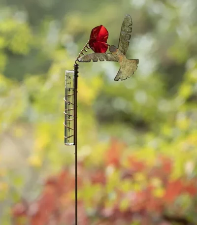 Hummingbird Rain Gauge