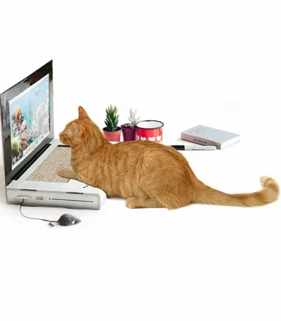 Laptop Cat Scratching Pad