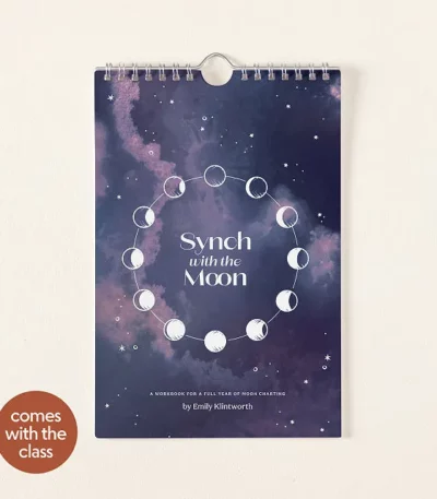 Moon Chart Workbook