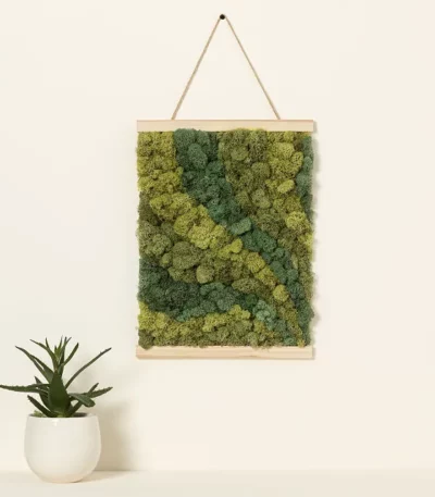 Moss Art By Numbers