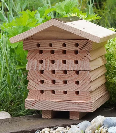 Solitary Bee Hive