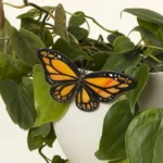 Stained Glass Plant Buddy 1