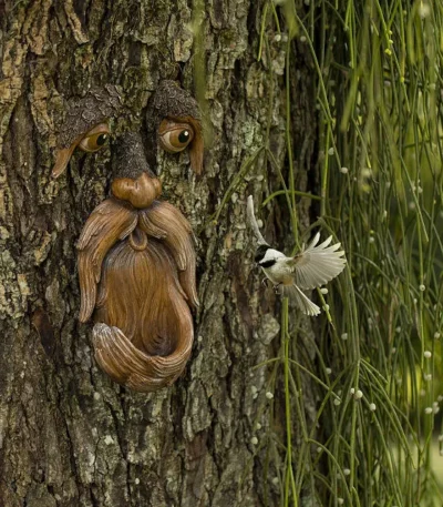 Tree Wizard Bird Feeder