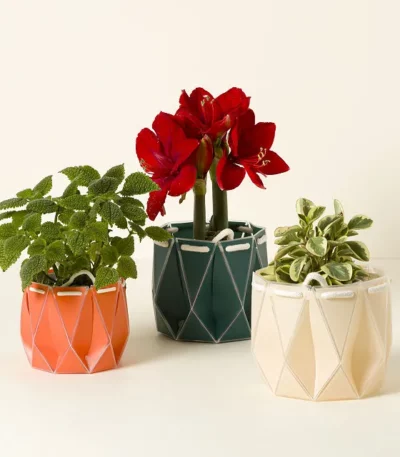 Pop Up Origami Self-watering Pot
