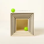 Box And Balls Trick Shot Challenge Set 1
