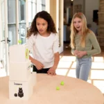 Box And Balls Trick Shot Challenge Set 4