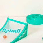 Flyball Lawn And Beach Game 1