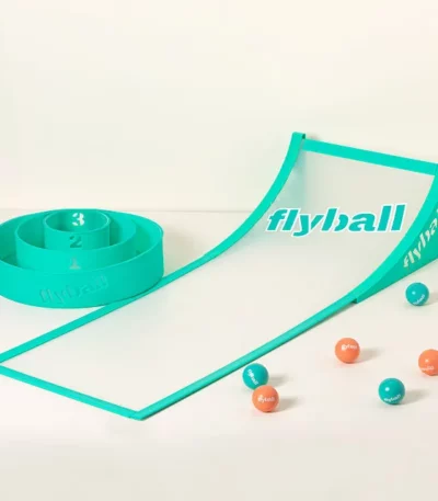 Flyball Lawn And Beach Game