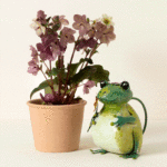 Fred The Frog Watering Can