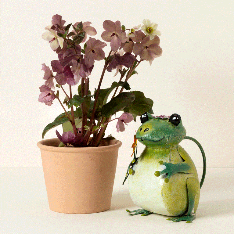 Fred The Frog Watering Can