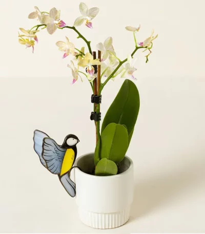 Glass Songbird Pot Hugger