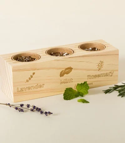 Cocktail Garden Starter Grow Kit