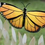 Monarch Wind Chime 1