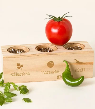 Salsa Herb Garden Starter Grow Kit
