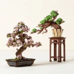 Set Of 2 Bonsai Build Kits 2