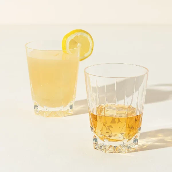 Unbreakable Cocktail Glasses - Set Of 2