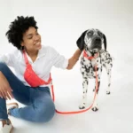 4-in-1 Hands-free Dog Walking Leash Bag 1