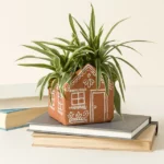 A Place To Bloom Terracotta Planter