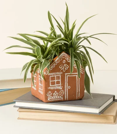 A Place To Bloom Terracotta Planter