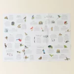 Around The World In 50 Birds Jigsaw Puzzle 2