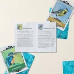 Avian Allies Oracle Deck & Guide 1