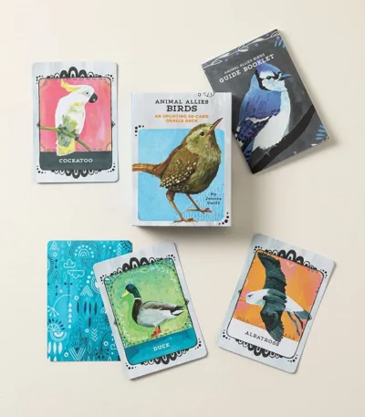 Avian Allies Oracle Deck & Guide