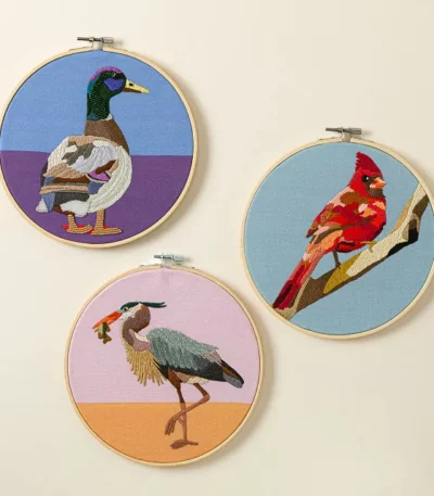 Beginners Bird Embroidery By Numbers Kit
