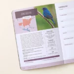 Bird Watchers' Field Guide Of North America 2