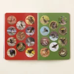 Bird Watchers' Field Guide Of North America 3