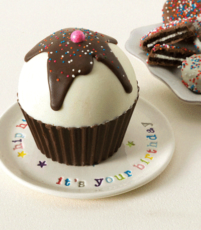 Breakable Birthday Cupcake Gift Set