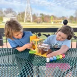 Build Your Own Squirrel Playground & Feeder 3