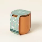 Catnip Terracotta Grow Kit 1