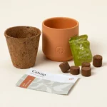 Catnip Terracotta Grow Kit 2