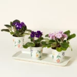 Ceramic Windowsill Herb Garden 1